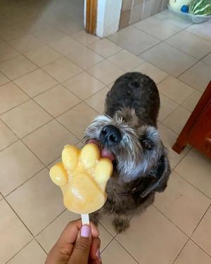  at Glotonería in Oaxaca