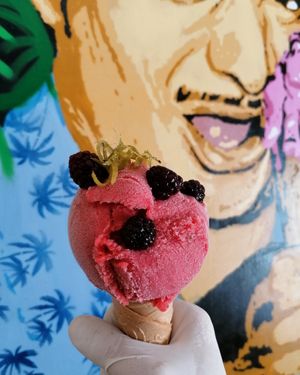 Granada/frutos rojos /Gin at Glotonería in Oaxaca