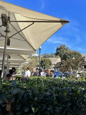 Line on a Friday morning  at Zinc Cafe and Market in Laguna Beach