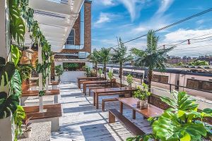 Terrace at Palm Greens in East London