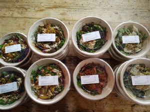 Lunch catering for offices/studios and shoots! at Palm Greens in East London