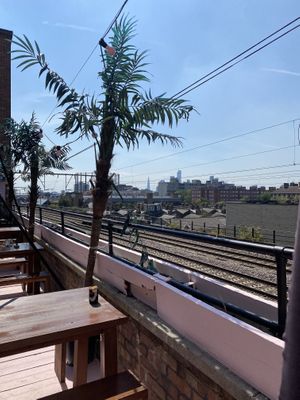 View from the rooftop terrace  at Palm Greens in East London