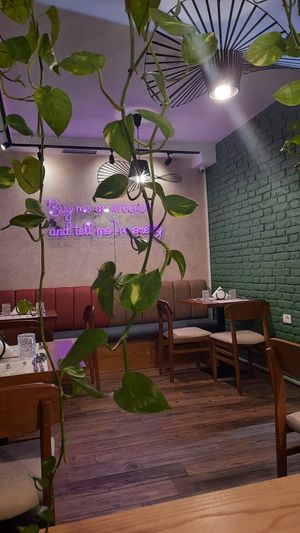 Interior at Veggies in Tirana