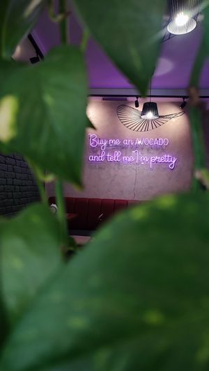 Insta photo because why not at Veggies in Tirana