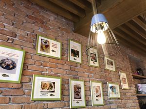 Restaurant at Veggies in Tirana