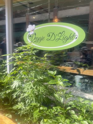 Storefront at Veggie D'Light in Toronto