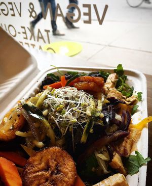 Seitan, tofu and brown rice and veggies at Veggie D'Light in Toronto
