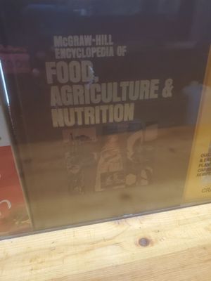  at Veggie D'Light in Toronto