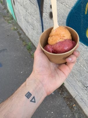 Cherry, Apricot-Lavander sorbets at Page in Lyon