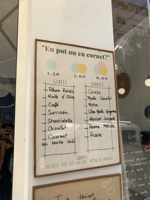 Vegan sorbets and prices at Page in Lyon