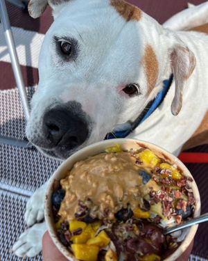  at Hatteras Bowls in Waves