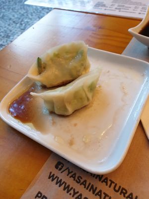 Dumplings at Yasai Natural Sushi in Rio De Janeiro