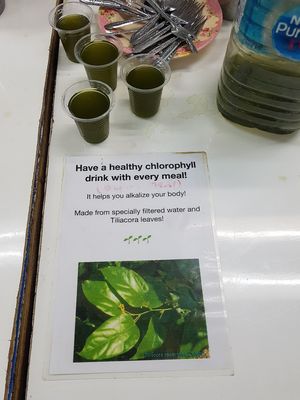 Chlorophyll water at Brown Rice Ladies in Chiang Mai