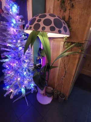  at Wholesome Junkies in Manchester