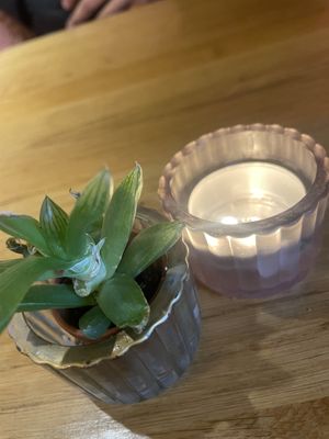   at Wholesome Junkies in Manchester