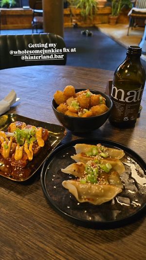 Clockwise from top: salt and pepper tots, grilled dumplings, Korean poppers. at Wholesome Junkies in Manchester
