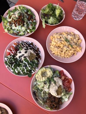   at The Lala in Vienna