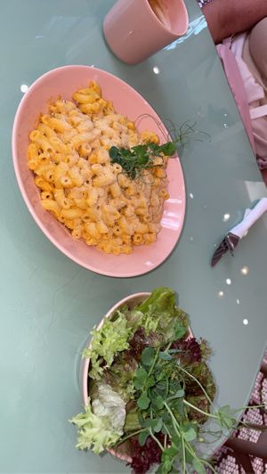   at The Lala in Vienna