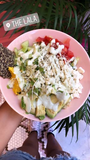 Beach Body Booster salad bowl 10.90€ at The Lala in Vienna