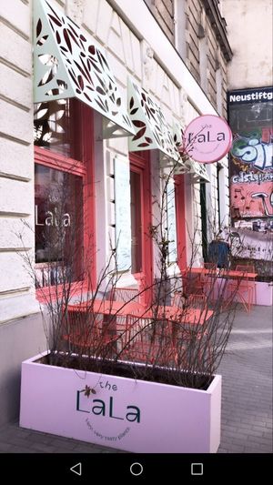 . at The Lala in Vienna