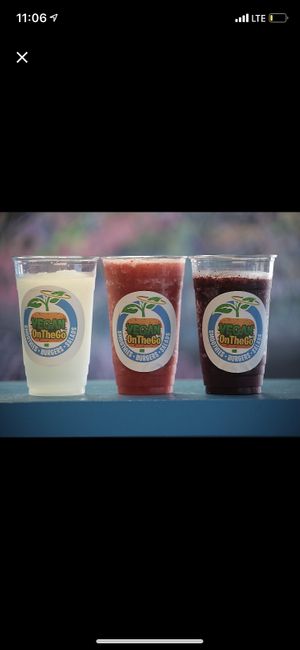 Our Frozen Lemonades at Vegan On The Go in Oakland Park