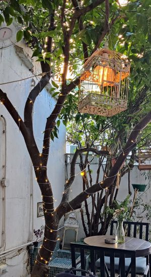 Outdoor at Orenda in Beirut