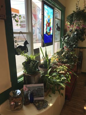 Plants in the front window at Sally Ann's Cafe and Market in Lubec