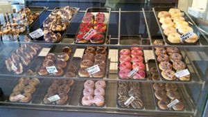 Doughnut display. Only 4 varieties were non-vegan when I was there. at Pepperbox Doughnuts - Design Center  in Charlotte