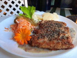  at Vilties Vaistinės Arbatine in Kaunas