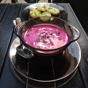 Saltibarsciai - lithuanian traditional dish at Vilties Vaistinės Arbatine in Kaunas