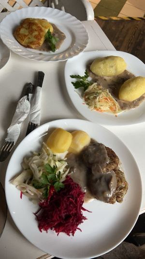 Mushroom cutlets and two different kinds of potato dishes with mushroom sauce and a variety of salads at Vilties Vaistinės Arbatine in Kaunas