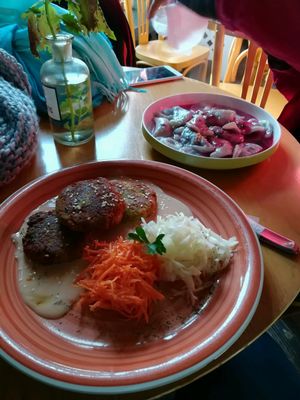 Falafel and Dumplings at Vilties Vaistinės Arbatine in Kaunas