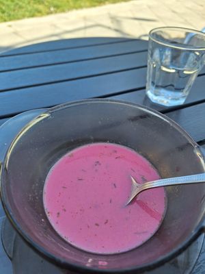 Borscht (mixed up, more pink 😄) at Vilties Vaistinės Arbatine in Kaunas