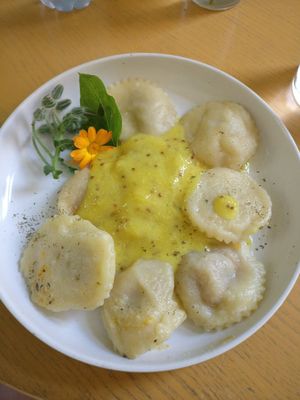 Vegan Dumplings with Pumpkin Sauce at Vilties Vaistinės Arbatine in Kaunas