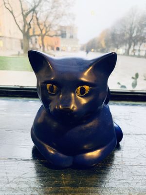 Cute kitty in the restaurant. at Vilties Vaistinės Arbatine in Kaunas