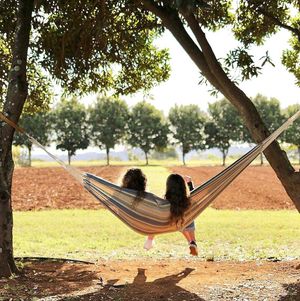 So much open space to explore and connect with nature. It's a really nice place to be. at Farm & Co in Cudgen