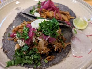 Tinga at El Planta in South Brisbane
