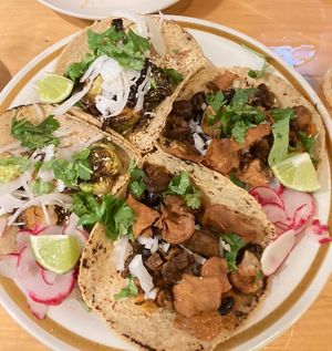 tacos   at El Planta in South Brisbane