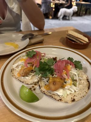   at El Planta in South Brisbane