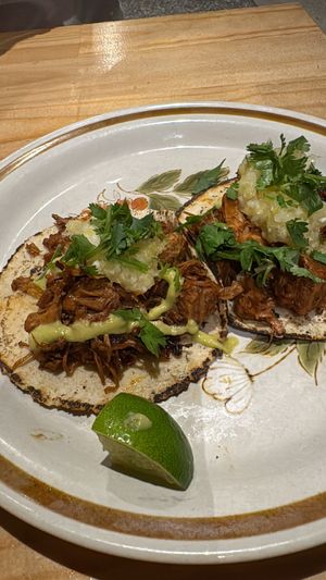   at El Planta in South Brisbane