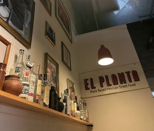   at El Planta in South Brisbane