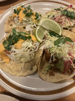   at El Planta in South Brisbane