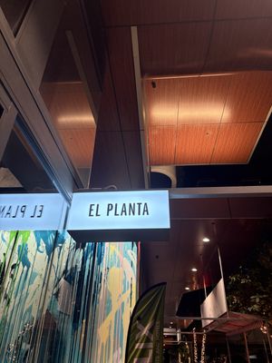   at El Planta in South Brisbane