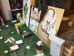 Window  at Natura Espai in Barcelona