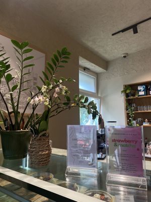   at Plants & Cakes in Frankfurt