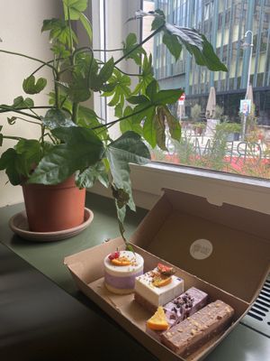   at Plants & Cakes in Frankfurt