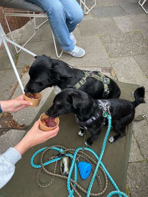   at Plants & Cakes in Frankfurt