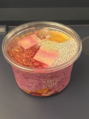   at Plants & Cakes in Frankfurt