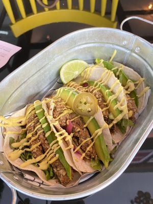 Phish tacos 💚 at Karma in Panama City