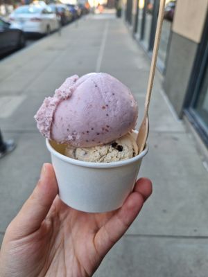  at FoMu - Brookline Ave in Boston